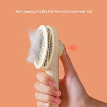 Pet Hair Removal Comb