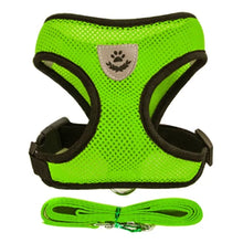 Pet Harness